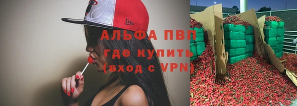 хмурый Аркадак