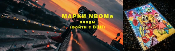 хмурый Аркадак