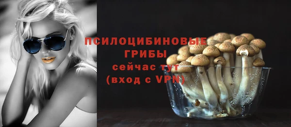 стаф Саяногорск