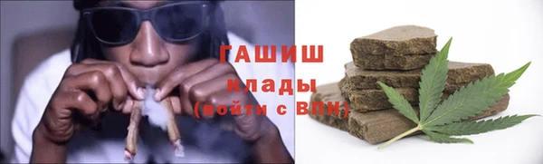 хмурый Аркадак
