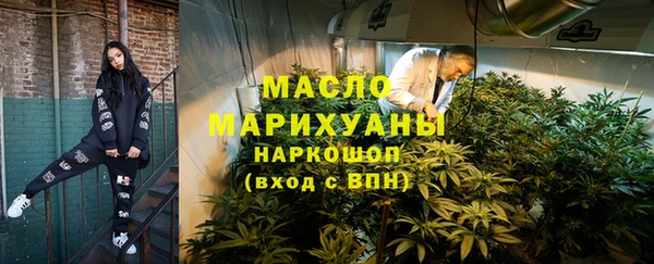 хмурый Аркадак
