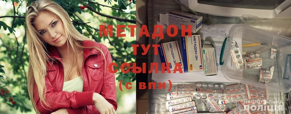хмурый Аркадак