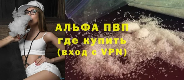 хмурый Аркадак