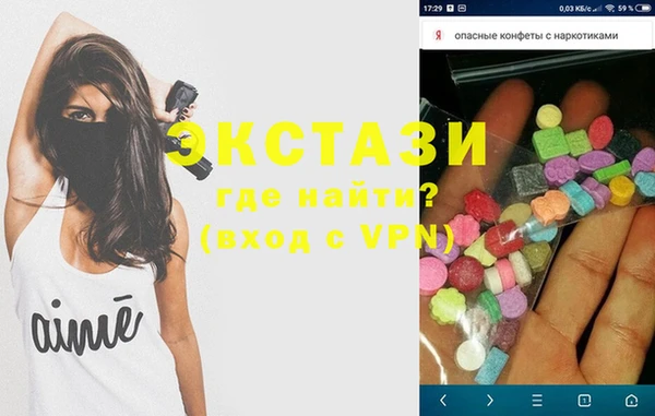 хмурый Аркадак