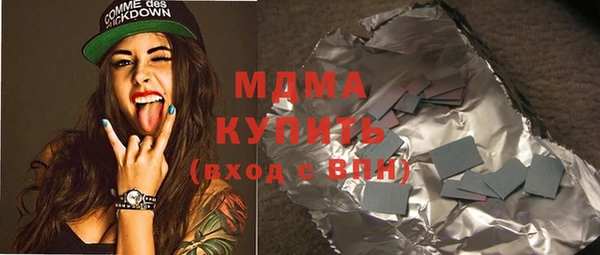 хмурый Аркадак