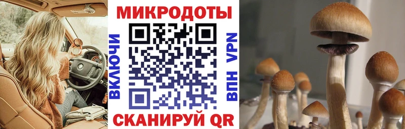 мега tor  Белово  Псилоцибиновые грибы прущие грибы 